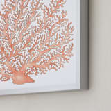 "Painted Coral" - Art Print in Coral by Natalie Groves - Frame Close-up