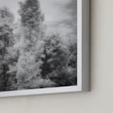 "InfraBotanical" - Art Print in Grey by Jeff Preuss - Frame Close-up