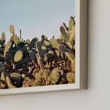"Cactus in a sunset" - Art Print in Sunset by Susanna Nousiainen - Frame Close-up