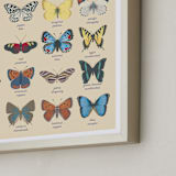 "Butterfly Guide" - Art Print in Dune by IGGI - Frame Close-up
