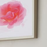 "Summer Rose" - Art Print in Summer Pink by IGGI - Frame Close-up