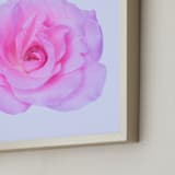 "Preppy Pink Rose" - Art Print in Preppy Pink by IGGI - Frame Close-up