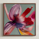 "Fire Flower" - Art Print in Scar Scarlet by Synnöve Seidman - Framed Canvas