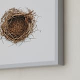 "The Architect" - Art Print in Nestlé by Andrew McClintock - Frame Close-up