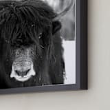 "Winter's Soul" - Art Print in Onyx by Leslie Le Coq - Frame Close-up