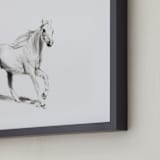"Horse Study 1" - Art Print in Original Charcoal by Ramnik Velji - Frame Close-up