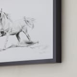 "Horse Study 3" - Art Print in original charcoal by Ramnik Velji - Frame Close-up