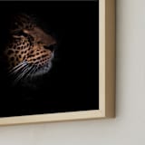 "Siri The Leopard" - Art Print in Color by David Michuki - Frame Close-up