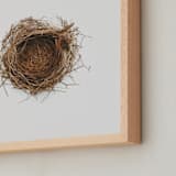 "The Architect" - Art Print in Nestlé by Andrew McClintock - Frame Close-up