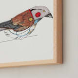 "Sparrow" - Art Print in Canyon by Kimberli Smith - Frame Close-up