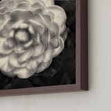 "Camelia Mandala" - Art Print in Soft Sepia by Julia Preminger - Frame Close-up