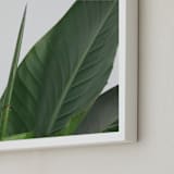 "Lush - Green" - Art Print in Original by Marshe Hutchinson - Frame Close-up