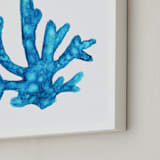 "Blue Caribbean Coral" - Art Print in Caribbean Blue by Charlene Landry - Frame Close-up