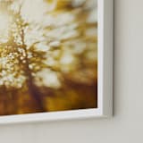 "Autumn Explosion" - Art Print in Golden Yellow by Stacy Kron - Frame Close-up