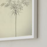 "open an umbrella" - Art Print in black and white by Qing Ji - Frame Close-up