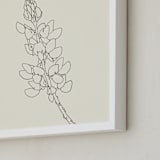 "Lupine" - Art Print in charcoal on ivory by Jorey Hurley - Frame Close-up