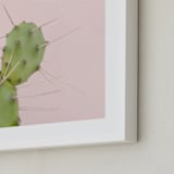 "Succulent No1" - Art Print in Color by Jessica C Nugent - Frame Close-up