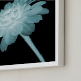 "x-ray floral" - Art Print in shadow black by Kate Cawood - Frame Close-up