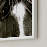 "Apache Jack" - Art Print in Dark Brown/Black and White by Leslie Le Coq - Frame Close-up
