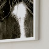 "Apache Jack" - Art Print in Dark Brown/Black and White by Leslie Le Coq - Frame Close-up