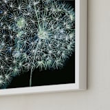 "Dandelion Wow" - Art Print in teal by Amelia Gluba - Frame Close-up