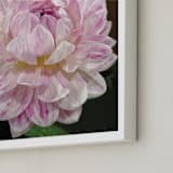 "Pink White Waterlily Dahlia" - Art Print in Violet Purple by A MAZ Design - Frame Close-up