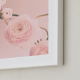 "Cotton Ranunculus" - Art Print in dusty pink by Caroline Mint - Frame Close-up