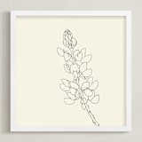 "Lupine" - Art Print in charcoal on ivory by Jorey Hurley - Framed