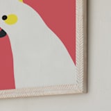 "Hello Cocky! " - Art Print in Coral by Catherine Culvenor - Frame Close-up