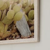 "Prickly Pear" - Art Print in Cacti Green by Hollie Renner Photography - Frame Close-up