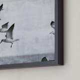 "In flight." - Art Print in Cloudy by Dawn Smith - Frame Close-up