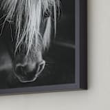"Solitude Gaze" - Art Print in Shadow by Jamie Lollback - Frame Close-up