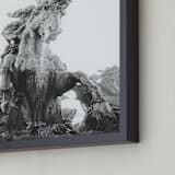 "Fantastical creature, fountain" - Art Print in Black and White by Jacquelyn Sloane Siklos - Frame Close-up