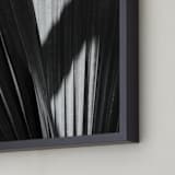 "Palmery 2" - Art Print in Black and White by Catherine Culvenor - Frame Close-up