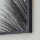 "Palm leaves 1" - Art Print in black and white by Eliane Lamb - Frame Close-up
