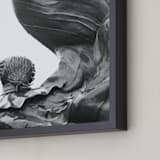 "Soar" - Art Print in Stone by Carrie ONeal - Frame Close-up