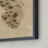 "Vintage Mariposa I" - Art Print in Vintage Ivory by jinseikou - Frame Close-up