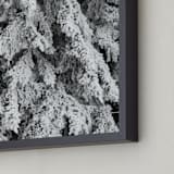 "Frost 3" - Art Print in Black & White by Ardell McLennan - Frame Close-up