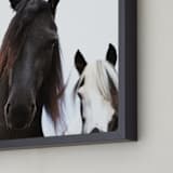 "Heathcliff + Lockwood" - Art Print in Black White by Amy Carroll - Frame Close-up