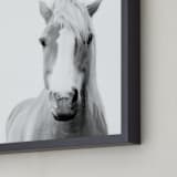 "Presence" - Art Print in Black and White by Debra Butler - Frame Close-up