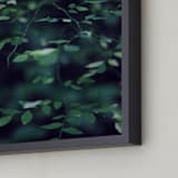 "Forest Focus" - Art Print in Deep Blue-Green by Satpreet K - Frame Close-up