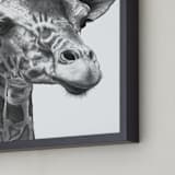 "Giraffe" - Art Print in graphite by Jerry Winick - Frame Close-up
