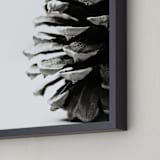 "Pine Cone" - Art Print in grey by Alexis Arnold - Frame Close-up