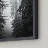 "Redwood Morning" - Art Print in Black & Whtie by Kamala Nahas - Frame Close-up