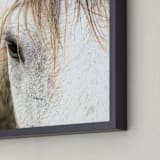 "Wild Horse Eye" - Art Print in Cafe Cream by Michelle Detering - Frame Close-up