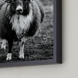 "The General" - Art Print in Black and White by Kaitie Bryant - Frame Close-up