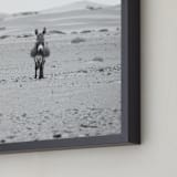 "I'm watching you" - Art Print in Black and White by Claudia Orengo - Frame Close-up