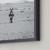 "I'm watching you" - Art Print in Black and White by Claudia Orengo - Frame Close-up