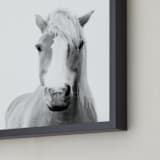 "Presence" - Art Print in Black and White by Debra Butler - Frame Close-up