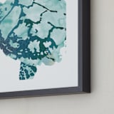 "Tropical Sea Turtle" - Art Print in Caribbean by Shirley Browning - Frame Close-up